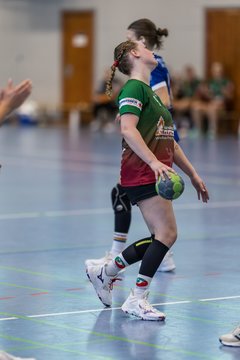 Bild 252 - F HSG Kremperheide/Muensterdorf - HSG Holstein Kiel/Kronshagen : Ergebnis: 31:26